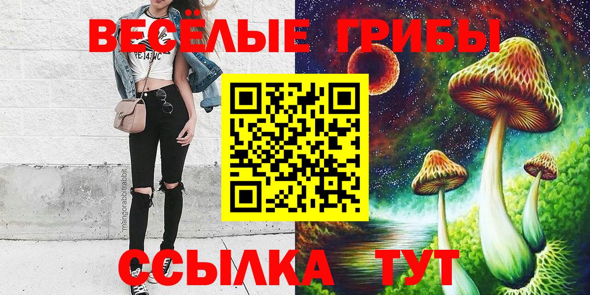 Миасс  Псилоцибиновые грибы ЛСД  Вход с VPN 
