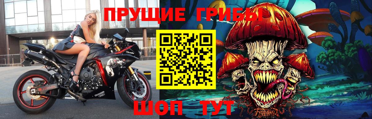 Галлюциногенные грибы Psilocybe Миасс